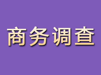 成都商务调查